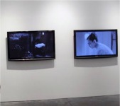 Erwin Olaf . Muestra de obra de video de la serie "Dawn & Dusk" en dos pantallas LSD  
